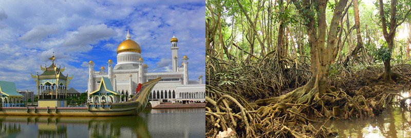 Brunei