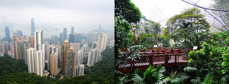 Hong-Kong