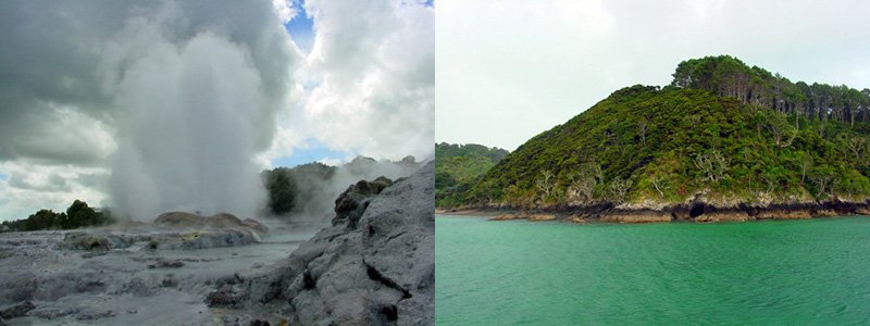 New-Zealand