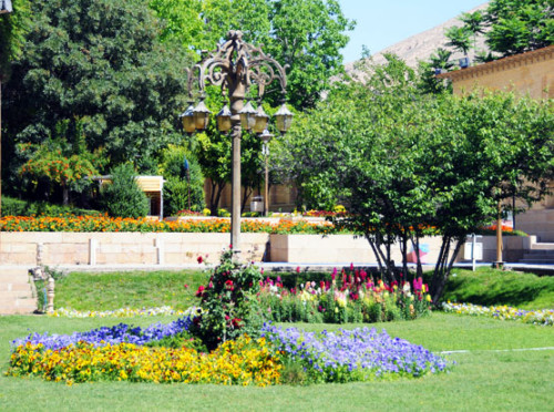 Iran Shiraz Gardens Flowers