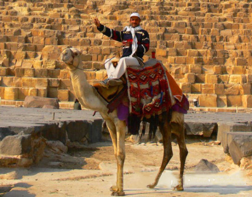 Camel Pyramid