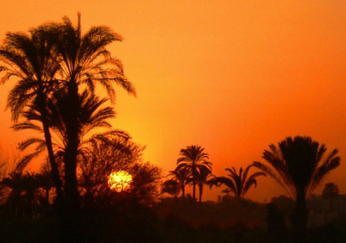 Egypt Sunset