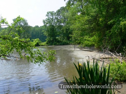 USA_Virginia_Swamp2