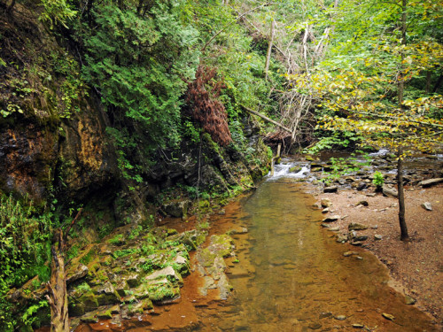 Virginia Natural Bridge Creek