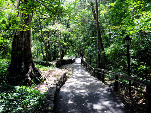 Virginia Natural Bridge Path