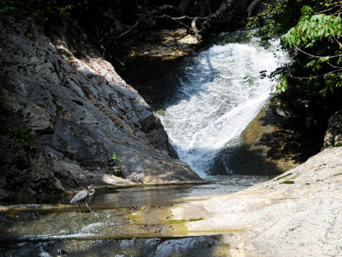 Virginia Natural Bridge Waterfall