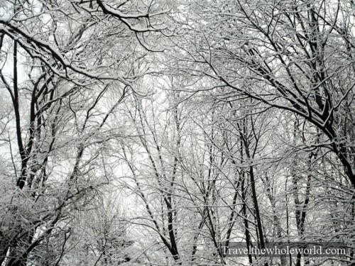 Virginia-Snow-Storm