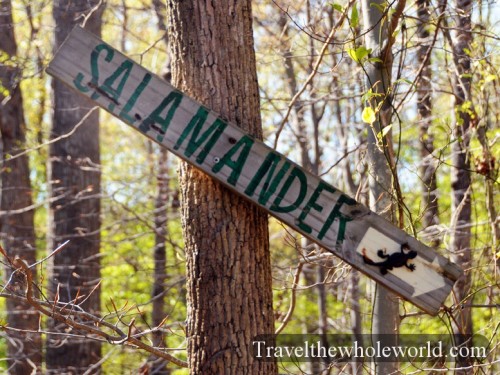 Virginia-Springfield-Biking-Salamander-Trail