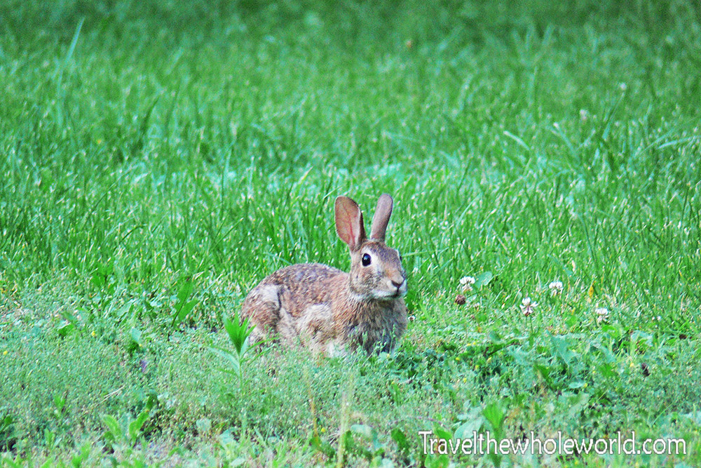 Hiking in Monongahela ForestTravel The Whole World