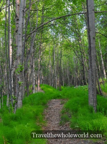 Alaska Anchorage Hiking Trail