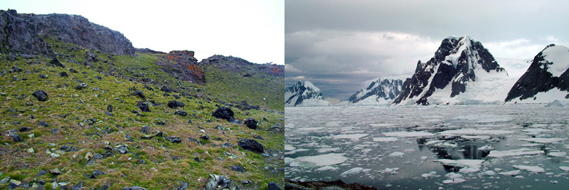 Antarctic-Scenery