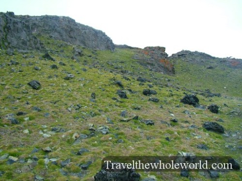 Green Antarctica
