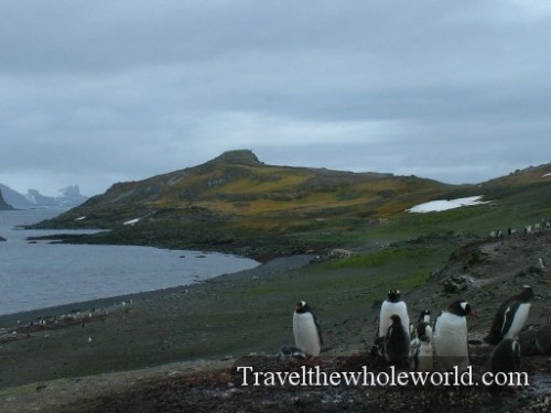Antarctica South Shetland Islands