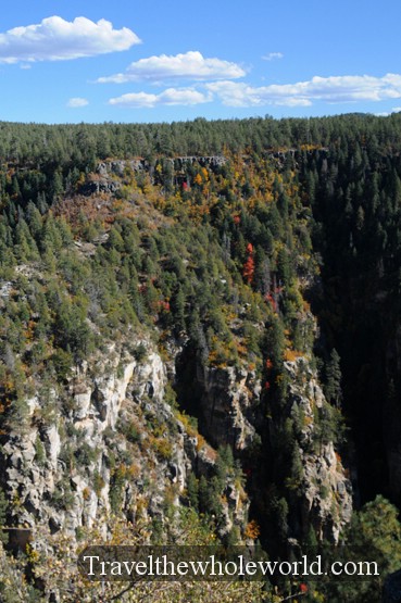 Forested canyon in northern Arizona during autumn