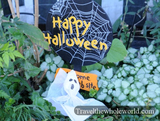 Halloween decorations outside a building in Arizona