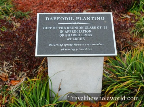 Arkansas Little Rock Central High School Daffodil Planting