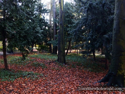 Belgium Brussels Koloniale Tuin Forest