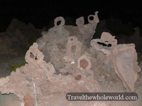 Bolivia Tomb Coral