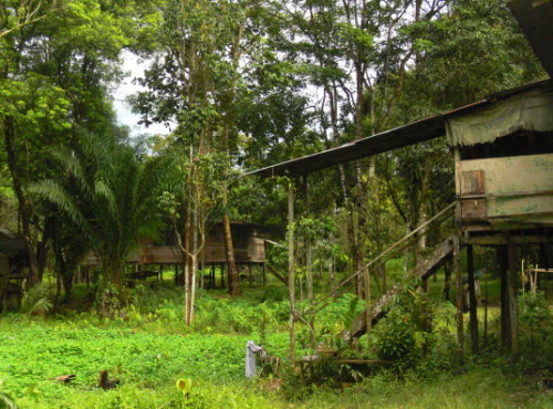 Brunei Long Houses
