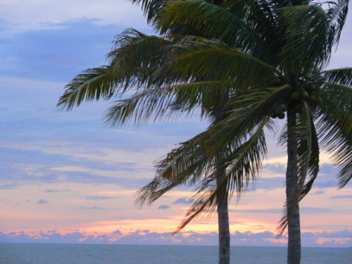 Brunei Ocean