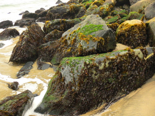 Chile Vina Del Mar Rocks