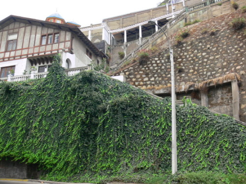 Chile Vina Del Mar House