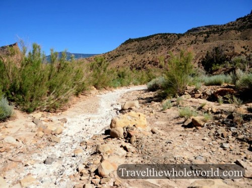 Colorado Desert Creek