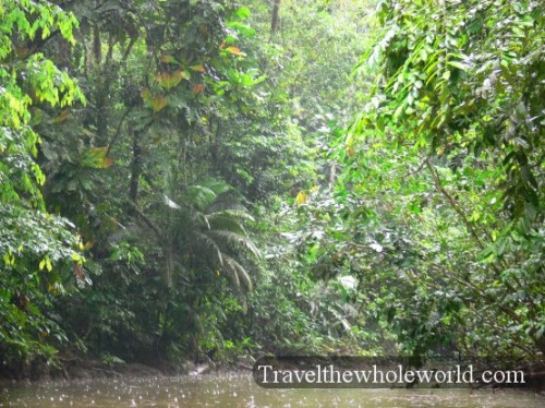 Ecuador Amazon Small River