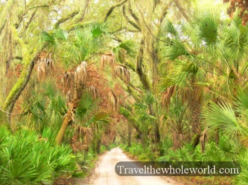 Cumberland Island