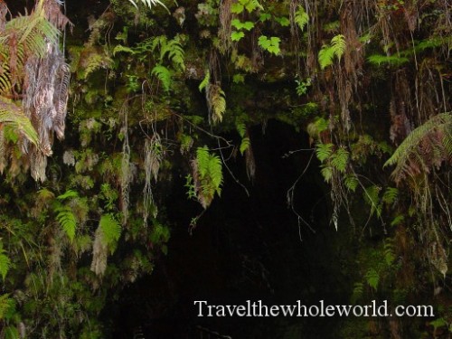 Hawaii-Lava-Cave-Entrance