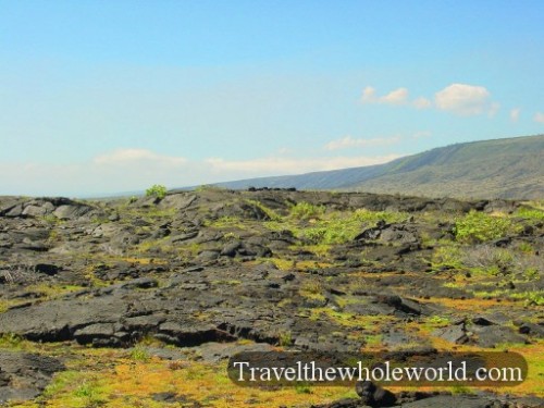 Hawaii-Lava-Grass