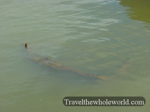 Hawaii-Pearl-Harbor_USS-Arizona