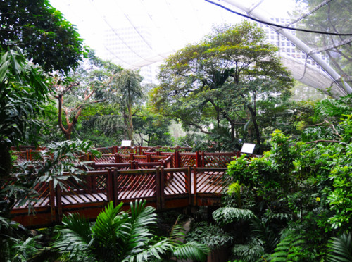 Hong Kong Park