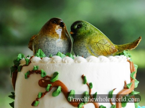 Illinois Elmwood Wedding Cake