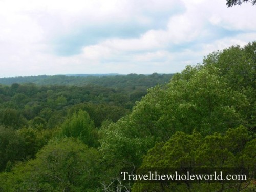 Illinois Shawnee Forest