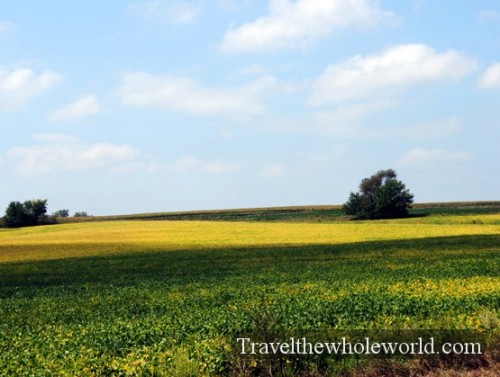 Iowa Field