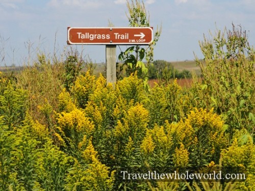 Neal Smith Wildlife Tallgrass