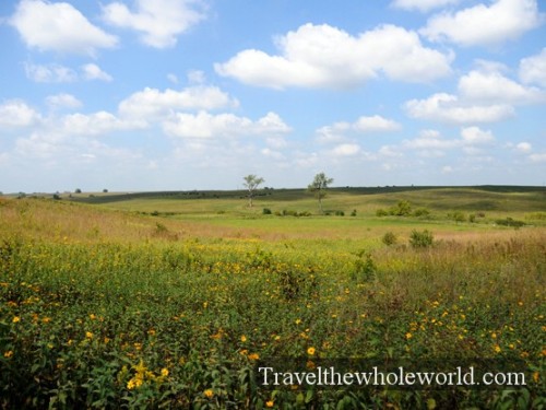 Iowa Neal Smith Wildlife Tallgrass