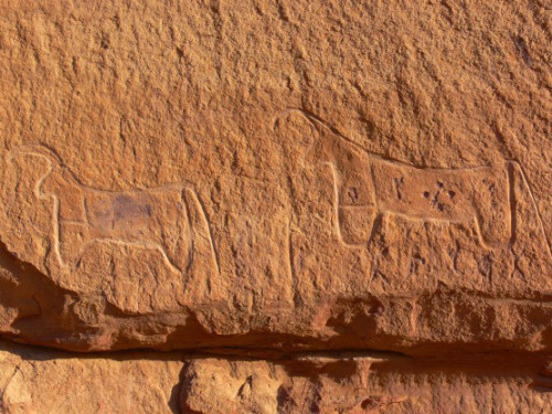 Jordan Carving