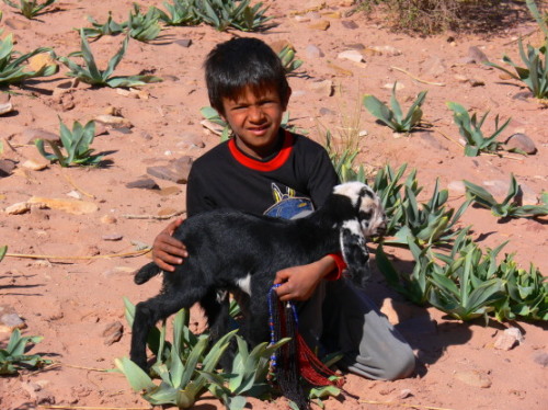 Jordan Petra Boy Lamb