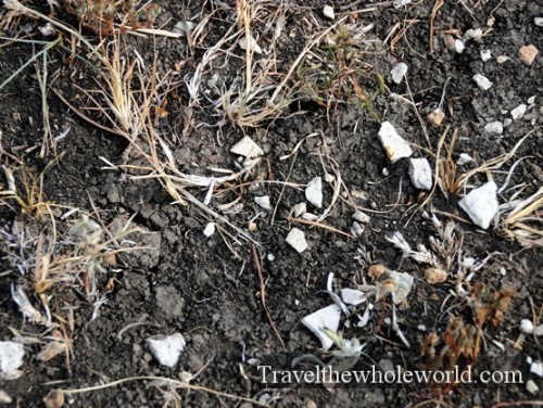 Kansas Tallgrass Prairie Rich Soil