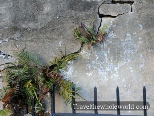 Louisiana New Orleans Crack Crypt