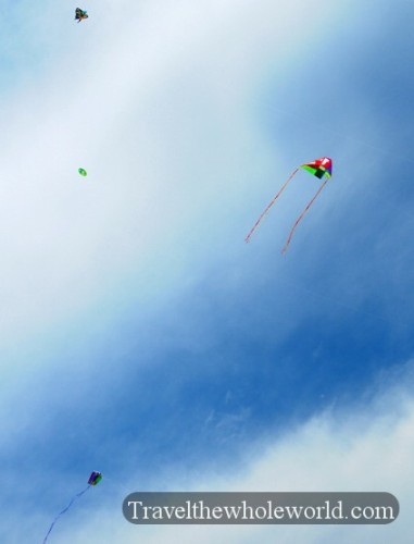 Maine Kites