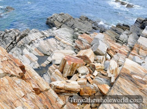 Maine Rocky Shore