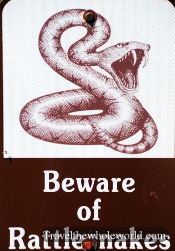 Montana Billings Rattlesnake