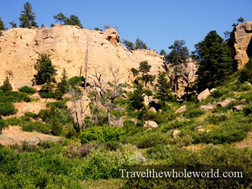 Montana Billings Pictograph 
