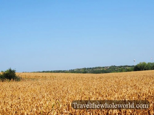 Nebraska Corn