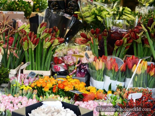 Netherlands-Amsterdam-Flowers