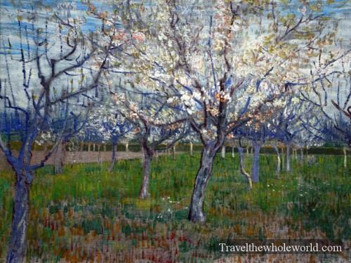 Netherlands-Amsterdam-Van-Gogh-Forests