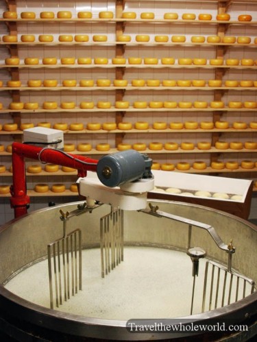 Netherlands_Cheese